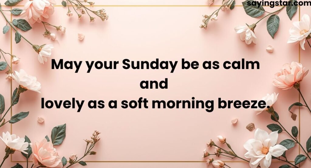 Cute Happy Sunday Wishes to Brighten Someone’s Day