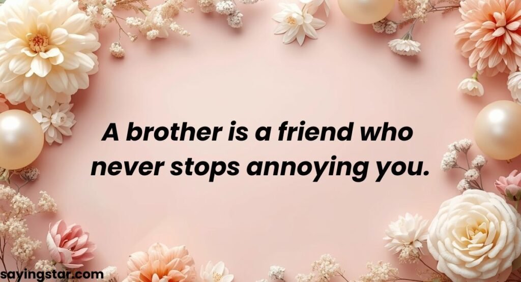 Funny Birthday Quotes & Sayings for Brother