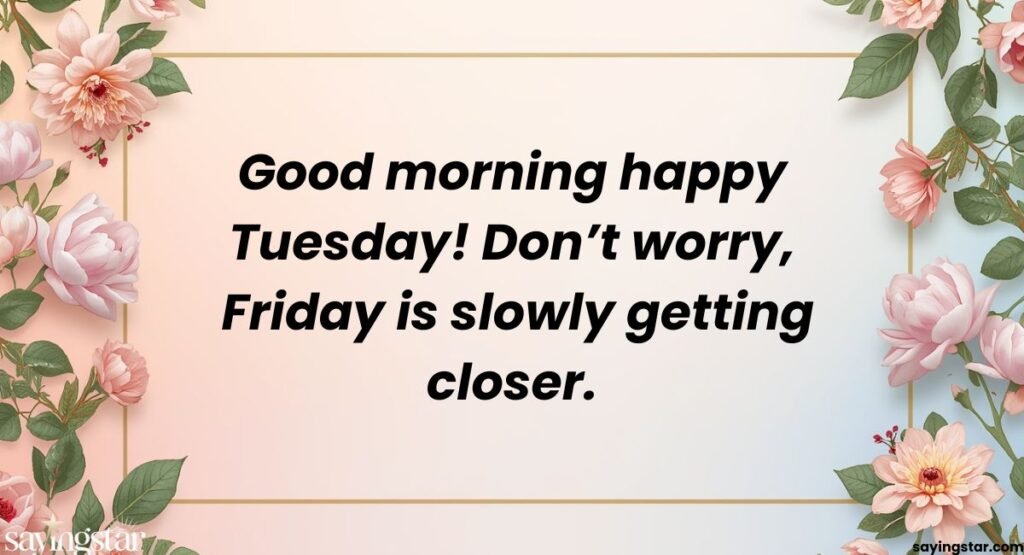 Funny Good Morning Happy Tuesday Messages to Make Them Smile