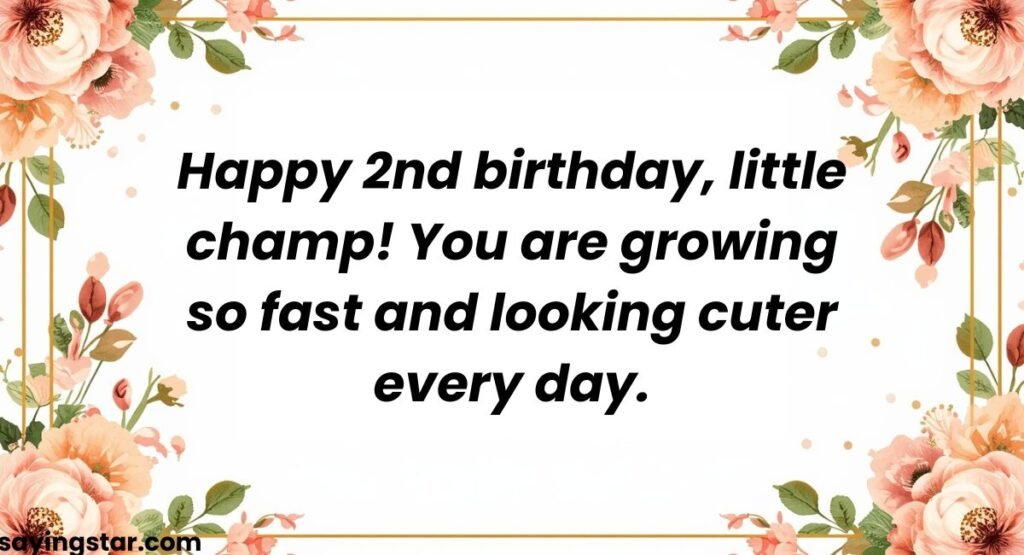 Second Birthday Wishes for Baby Brother (2nd Birthday)