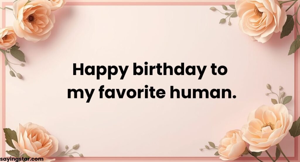 Short Birthday Wishes for Special Person (One-Liners & Captions)