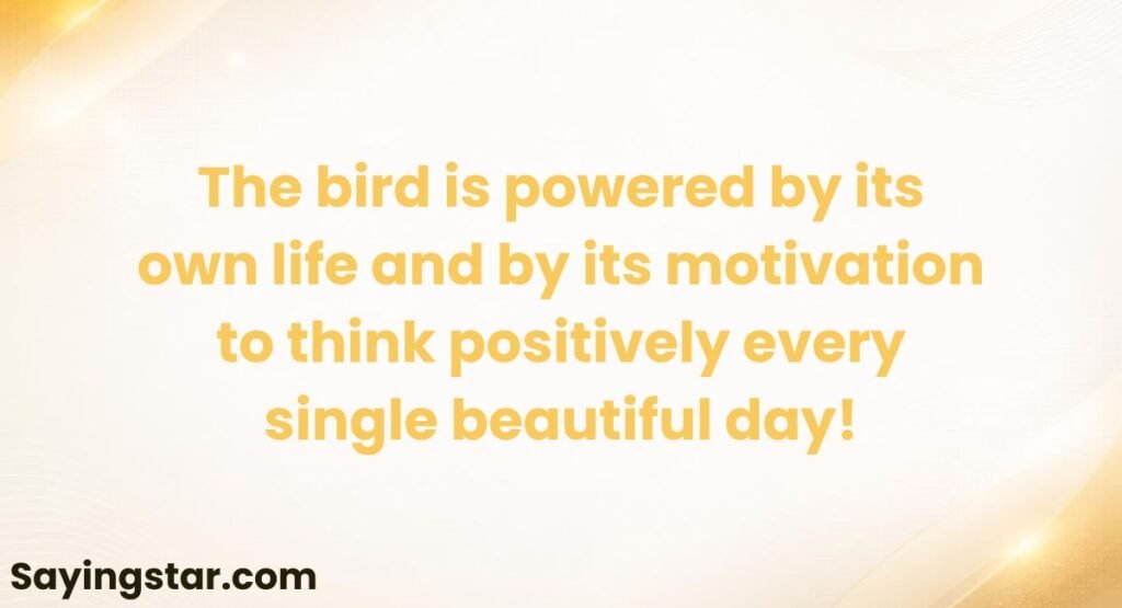 Abdul Kalam's Philosophy on Positive Thinking
