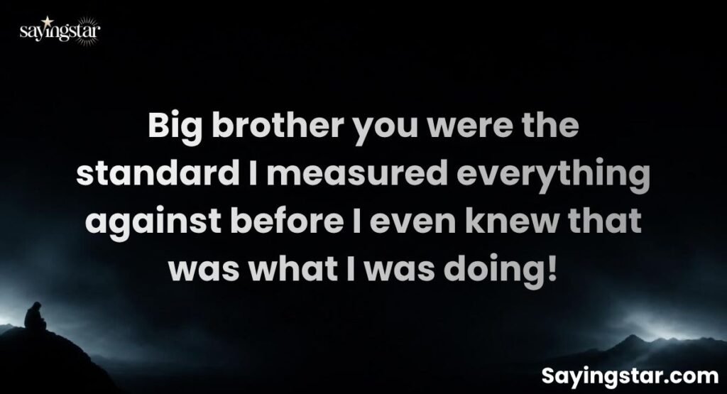 Big Brother Ke Liye Shayari in English