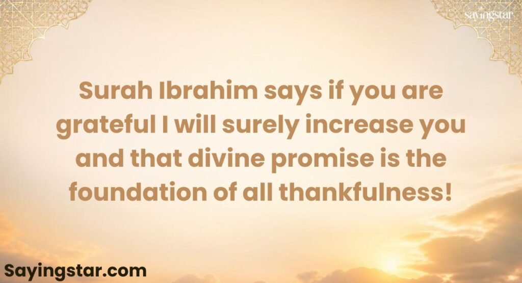 Quran Inspired Quotes About Gratitude and Thankfulness